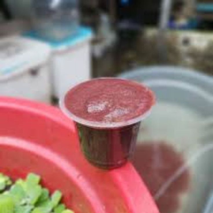 Pakan ikan