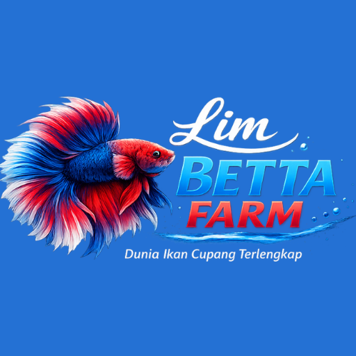 Lim Betta Farm panduan lengkap ikan cupang hias, perawatan dan budidaya
